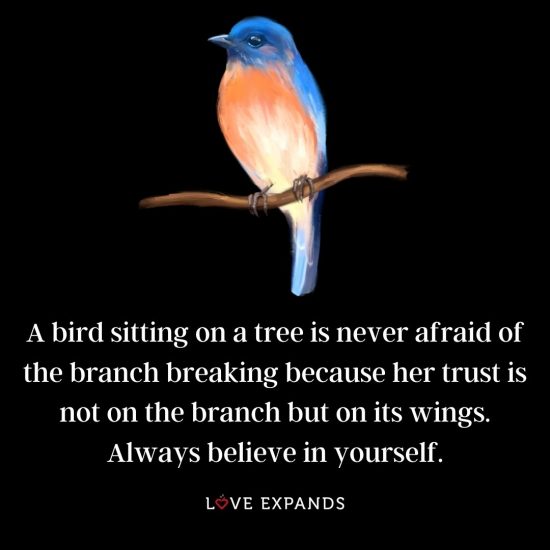 Picture Quote: A bird sitting on a tree is never afraid of the branch breaking because her trust is not on the branch but on its wings.