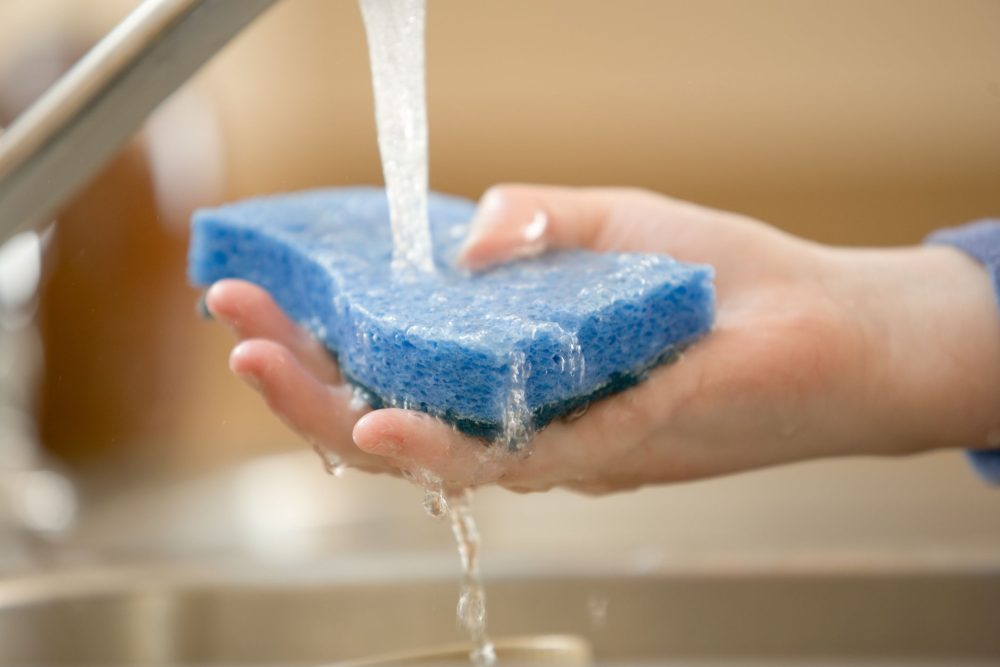 Sponges hold more cold water than hot