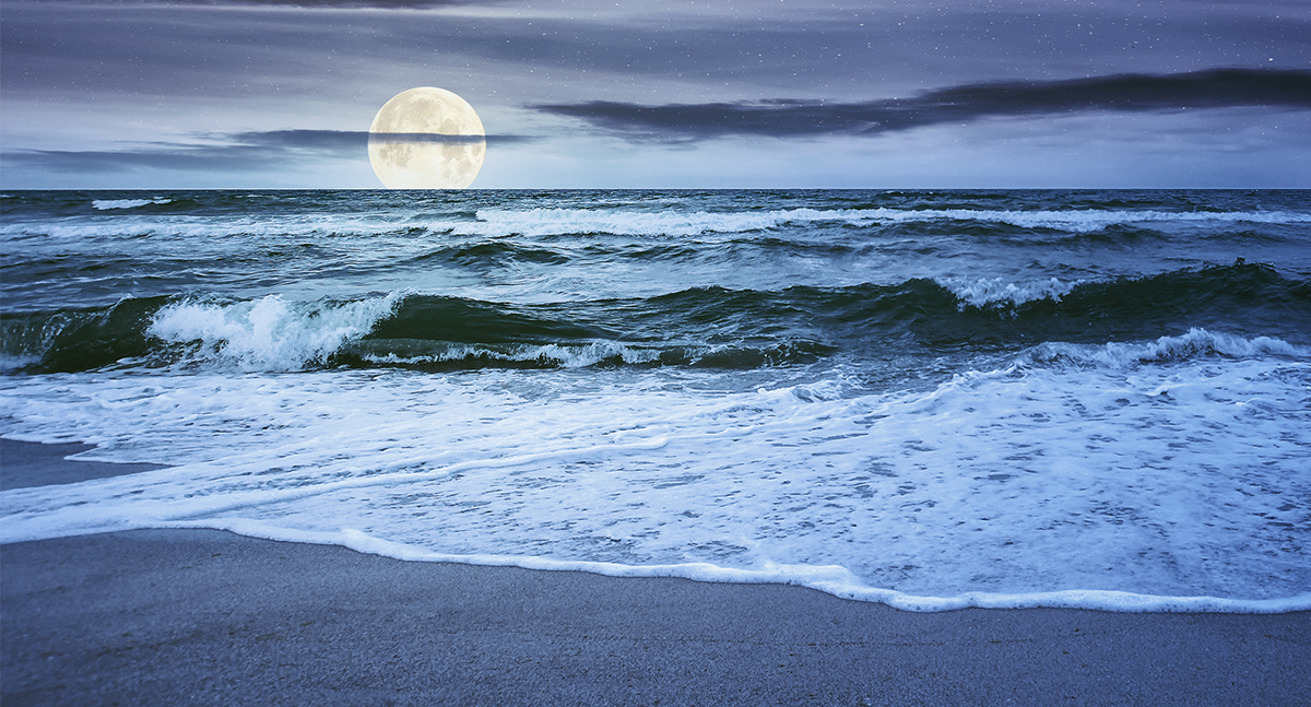 The moon is the reason why we have tides and waves on Earth